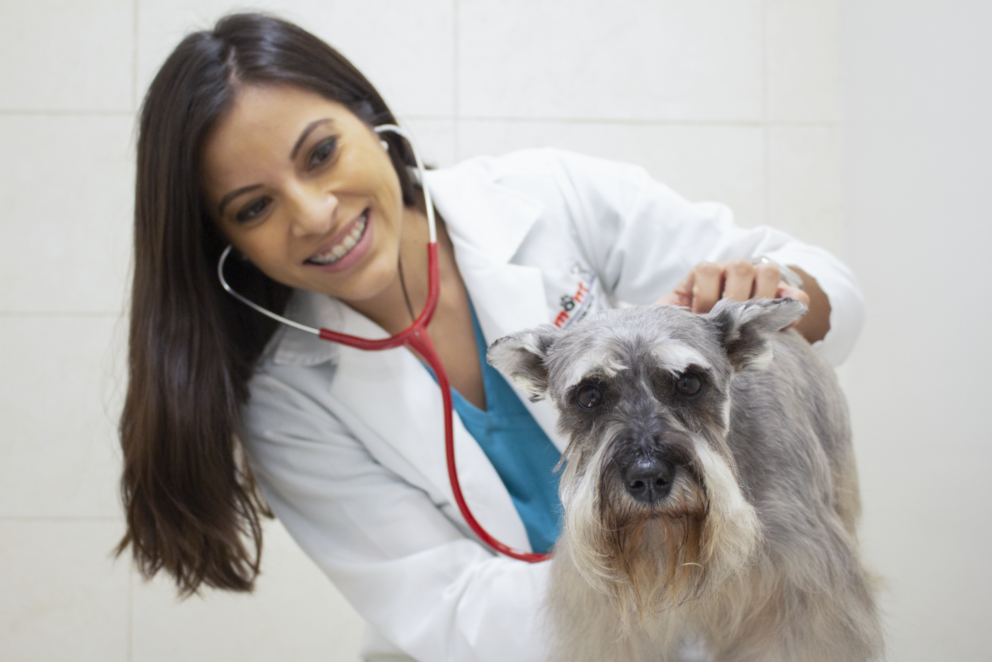 LOMONT | All for Dogs en Plaza La Rioja, Monterrey